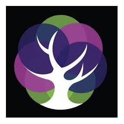 northen light energy_250